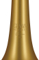 Preview: GEWA Germany Bb-Trompete TR172 Vision matt