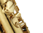 Preview: ANTIGUA Tenor-Saxophon TS4248LQ-GH