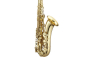 Preview: ANTIGUA Tenor-Saxophon TS4248LQ-GH