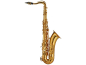 Preview: ANTIGUA Tenor-Saxophon Classic Pro TS5200VLQ-GH