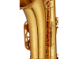 Preview: ANTIGUA Tenor-Saxophon Classic Pro TS5200VLQ-GH