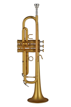 GEWA Germany Bb-Trompete TR172 Vision matt