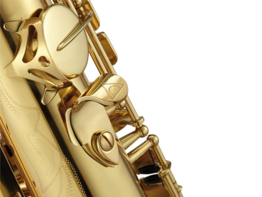 ANTIGUA Tenor-Saxophon TS4248LQ-GH