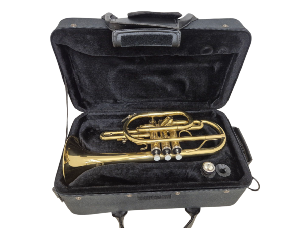 Stagg B-Kornett 77-TC  