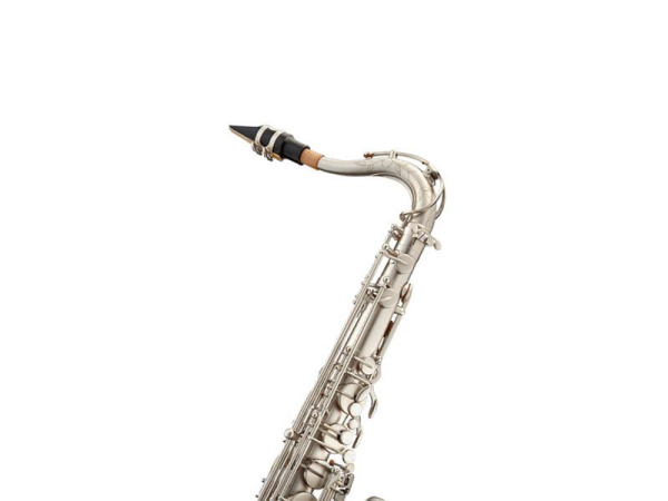 ANTIGUA Tenor-Saxophon TS4248CN-GH
